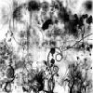 Black Smudge