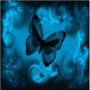 Blue Butterfly