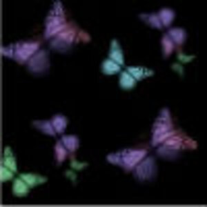 Butterfly Colours