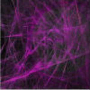 Magneta Squiggles