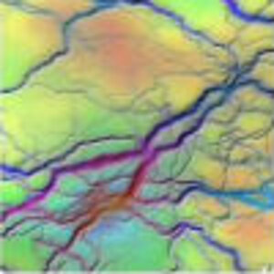 Rainbow Veins