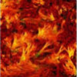 Red Firebirds