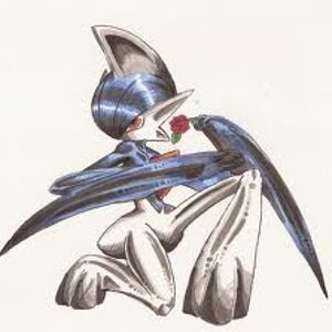 images (14)