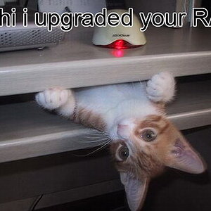upgraded your ram