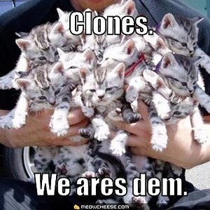 clones