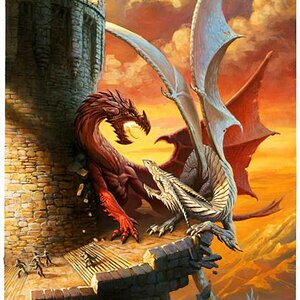 Fire drake and white dragon