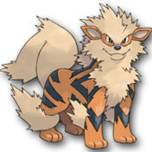 Arcanine[1]