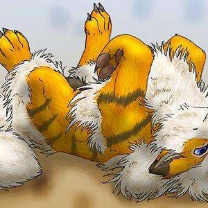 Arcanine 4[1]
