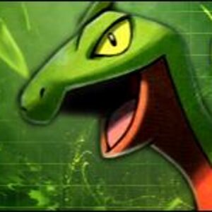 Grovyle banner ... again, zomg ...