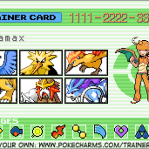 Hoen Trainer Card