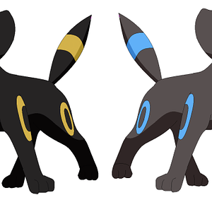 NormalxxShiny