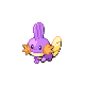 shiny mudkip