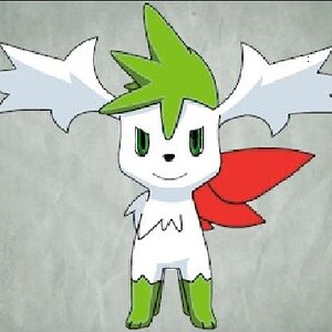 shayminskyforme
