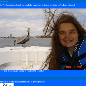 Another episode of Beachy (& the pelicans) vs. Zet.

(No, that is not my sister.) XD