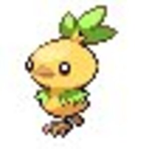 THE most adoravle Torchic EVER!