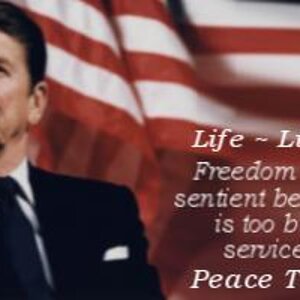 REAGAN REVOLUTION