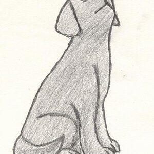 Doggie :3