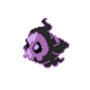 Duskull devamp