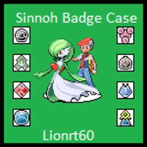 Example -  sinnoh badge case lionr60