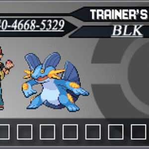 BLK's Trainer  Card