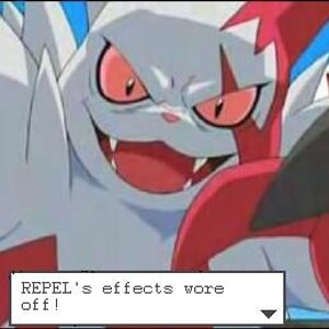 REPEL's effects wore off!