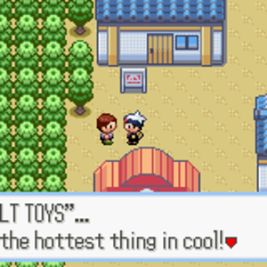 Adult Toys... LOL