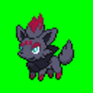 zorua indexed