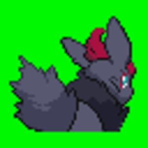 zorua back