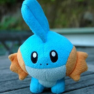 Mudkip 3