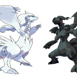 Pictures of Reshiram and Zekrom.