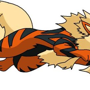 ARCANINE