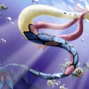milotic!!