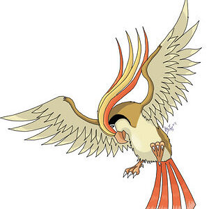 Pidgeot