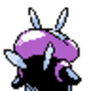 Illumise Back
