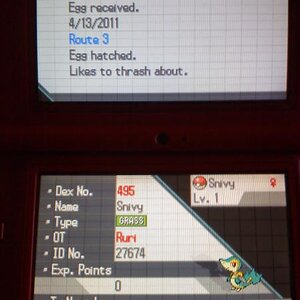 shiny snivy hatched after 281 eggs