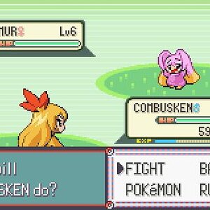 Combusken vs Whismer