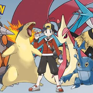 Pokémon SoulSilver Team