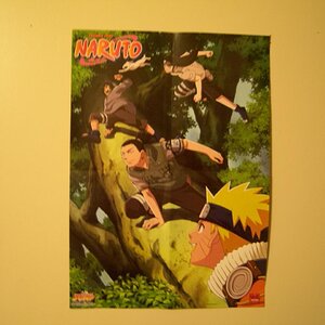 Naruto, Shikimaru, Kiba and Neji (my favorite character) running through the trees.