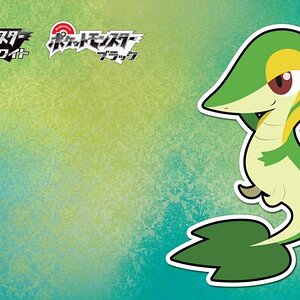 Snivy
