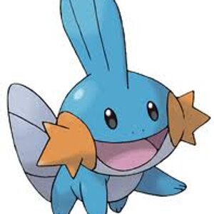 images (11)