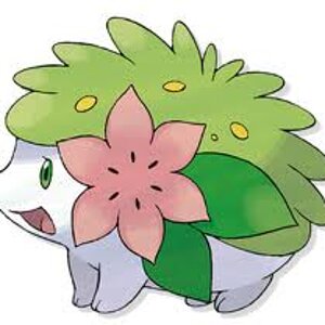 images (12)
