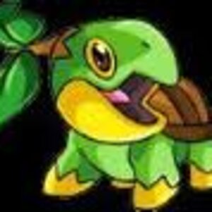 images (16)