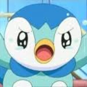 images (17)