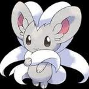 images (21)