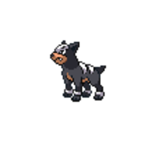 #228 Houndour