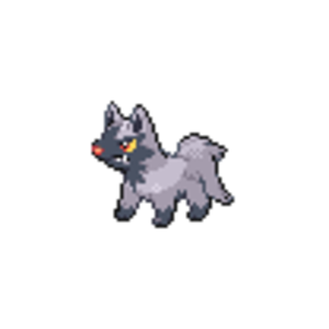 #261 Poochyena