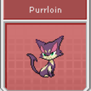 #509 Purrloin