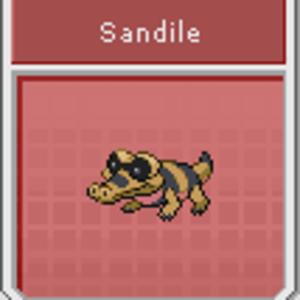 #551 Sandile