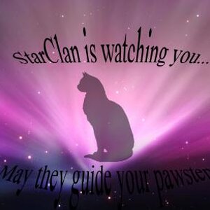 Starclan Is Watching You.... May they guide you pawsteps...