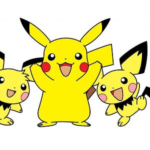 Pikachu and the Pichu Bros